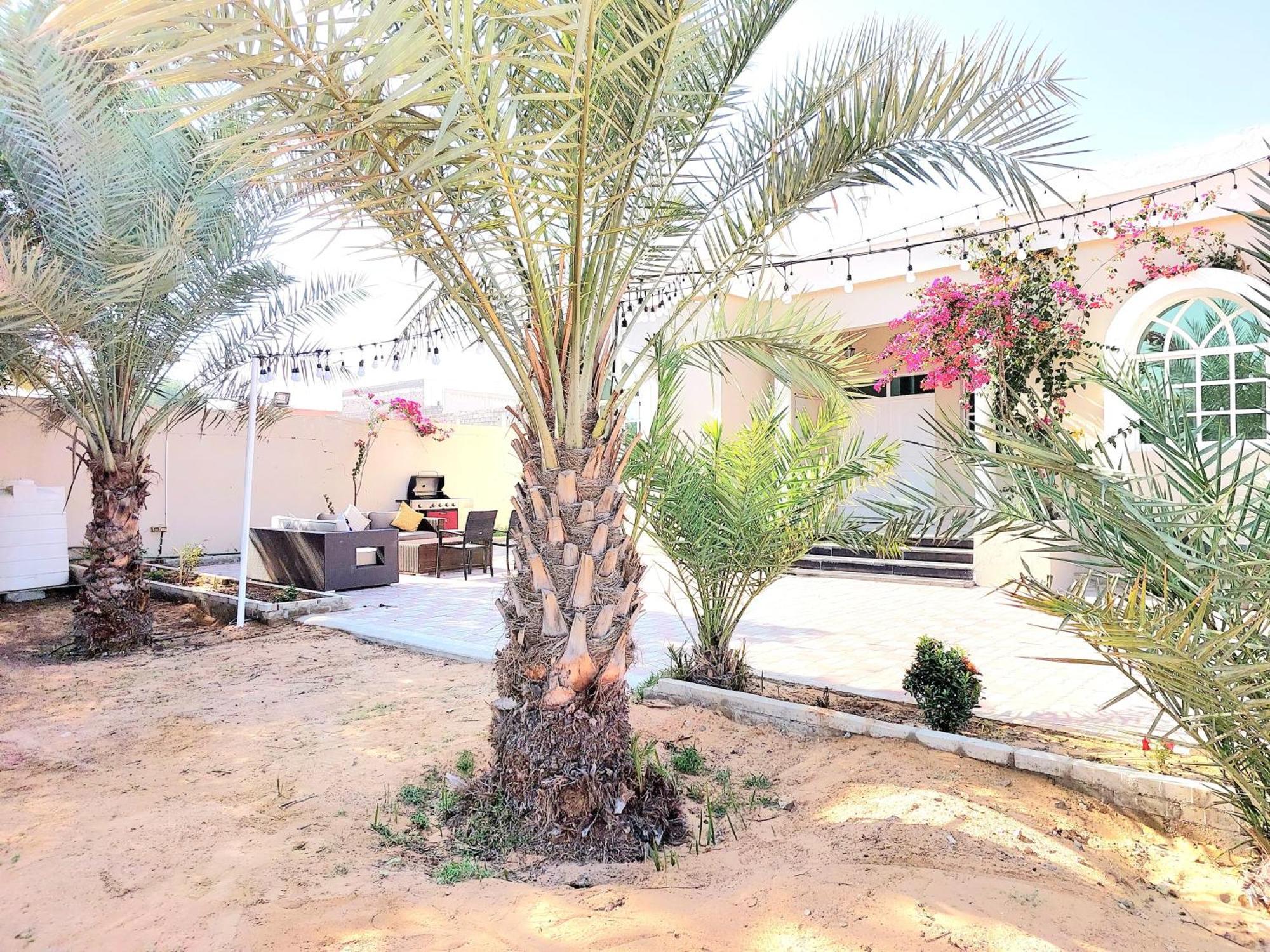 Villa 9 Palms Beach Ras al-Khaimah Eksteriør bilde